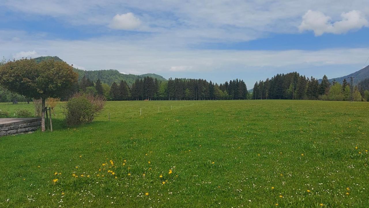 Ferienwohnung Seeberg Mit Almfeeling ファイステナウ エクステリア 写真